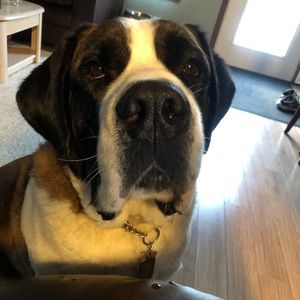 Meet your Posher, Landon